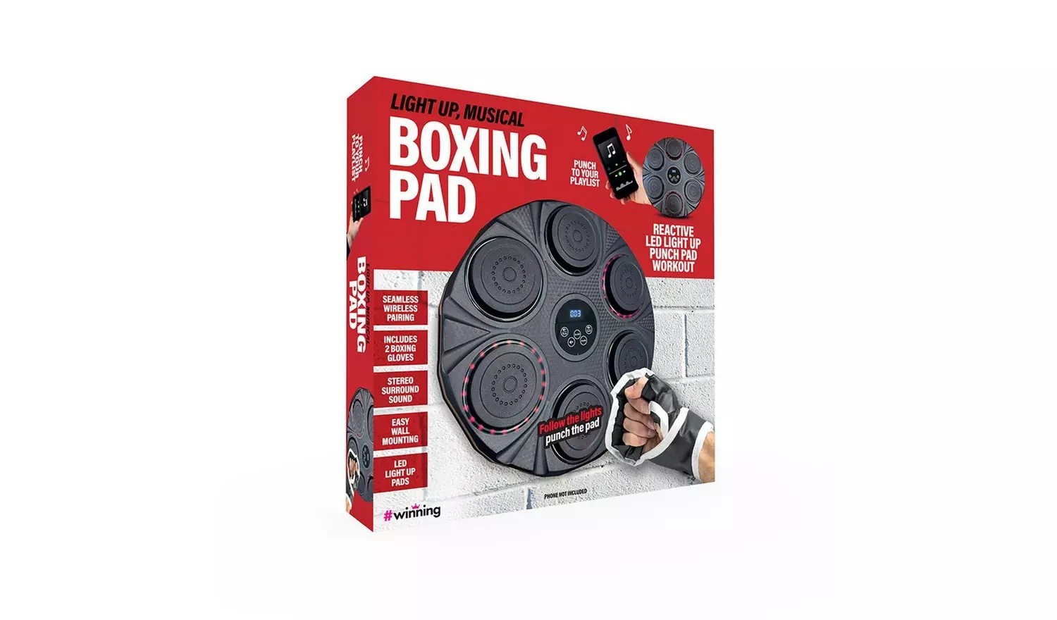 Light Up Musical Boxing Pad, The Source 